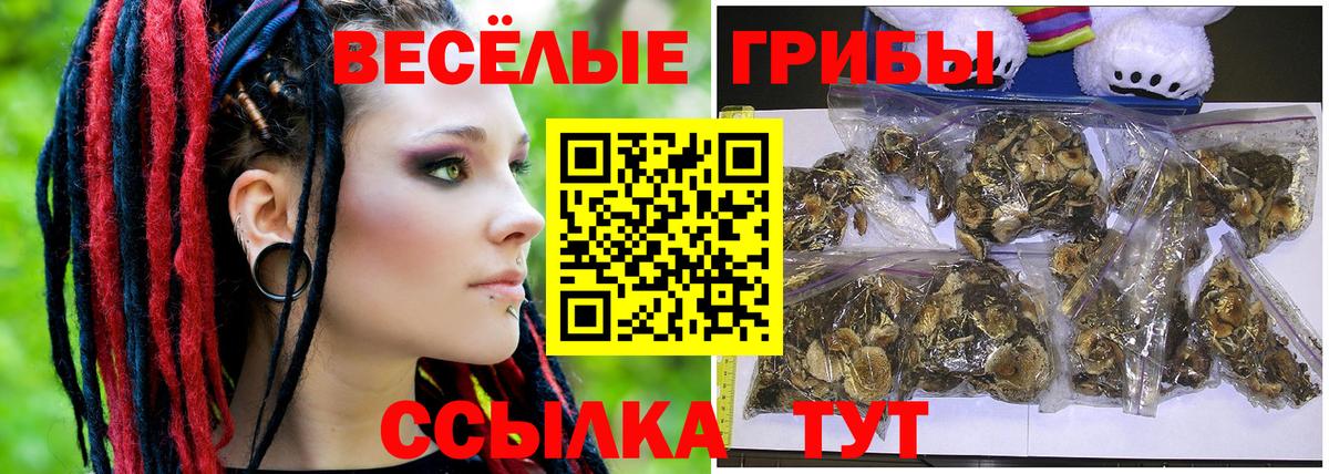 Псилоцибиновые грибы Cubensis Волхов