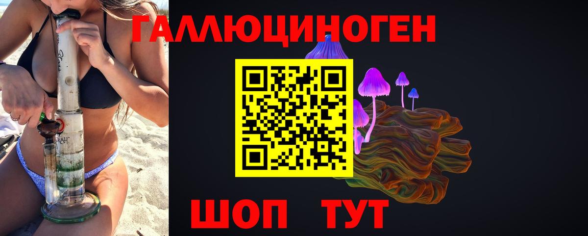 сколько стоит  Вход с VPN  Волхов  Псилоцибиновые грибы Cubensis  Галлюциногенные грибы Cubensis 